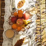 Apartman Sablic - Opatija-ika, In Middle Of Olive Garden With A Beautiful Pool *