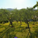 Apartman Sablic - Opatija-ika, In Middle Of Olive Garden With A Beautiful Pool *