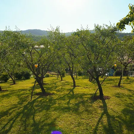 Apartment Sablic - Opatija-ika, In Middle Of Olive Garden With A Beautiful Pool *